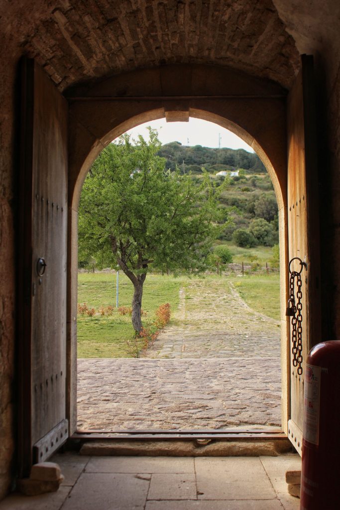 Puerta abierta con vistas a un camino en el campo